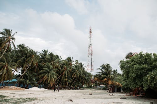 寫(xiě)作基礎：如何寫(xiě)好開(kāi)頭