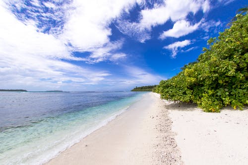 毒醫圣尊小說(shuō)復仇華青云劉青桐無(wú)廣告閱讀