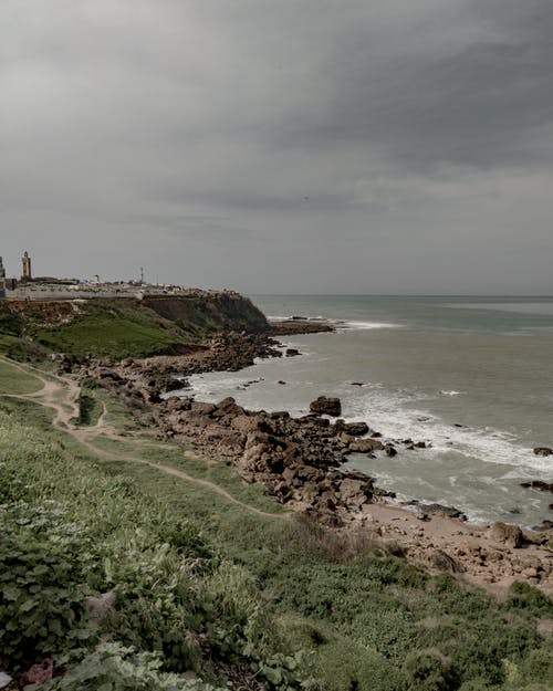 逆襲為求神功他跳崖尋寶小說(shuō)葉辰楚靈兒全文閱讀