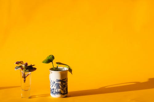 逆襲黃金年代小說(shuō)穿越許昌郭婉晴無(wú)刪減閱讀