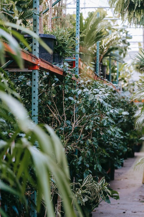 寒假記事日記300字 寒假記事日記300字