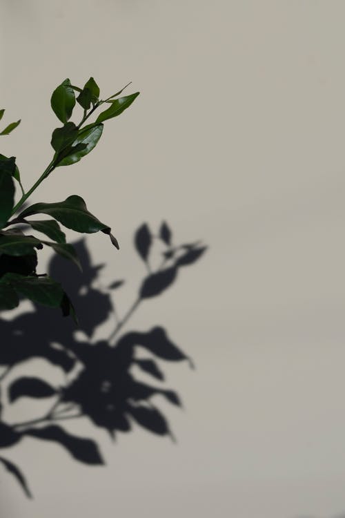 現代詩(shī)歌：外婆