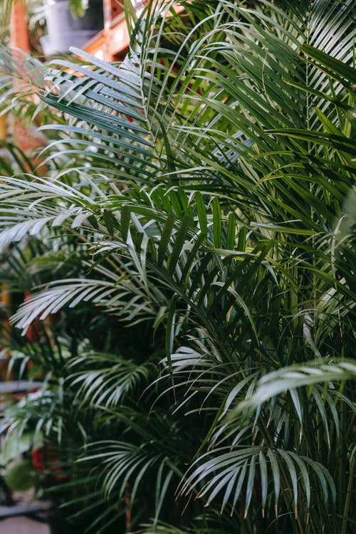 熱文上門(mén)贅婿是醫神小說(shuō)蕭辰吳雅清無(wú)錯版閱讀