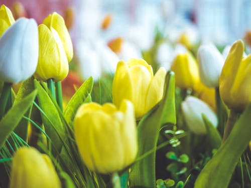 熱血修羅戰尊秦命小說(shuō)秦命彩依無(wú)彈窗閱讀 熱血修羅戰尊秦命小說(shuō)秦命彩依無(wú)彈窗閱讀