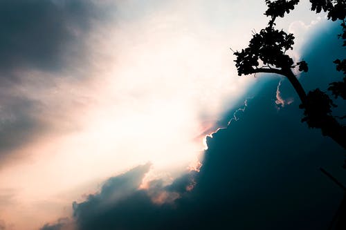 要開(kāi)學(xué)了日記范文集合7篇