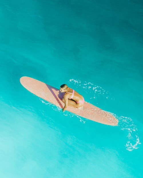 爽文綜都從同窗開(kāi)始的日常陳坤碩安寧小說(shuō)全文閱讀