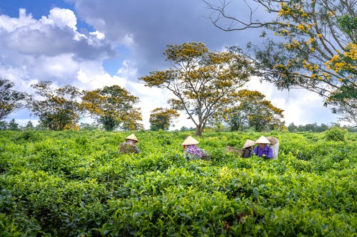 五年級觀(guān)后感《起跑線(xiàn)》