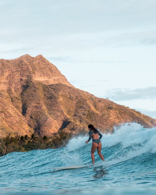 穿越龍鳳雙寶神醫娘親美又颯小說(shuō)靖容姝徐璞全章節閱讀