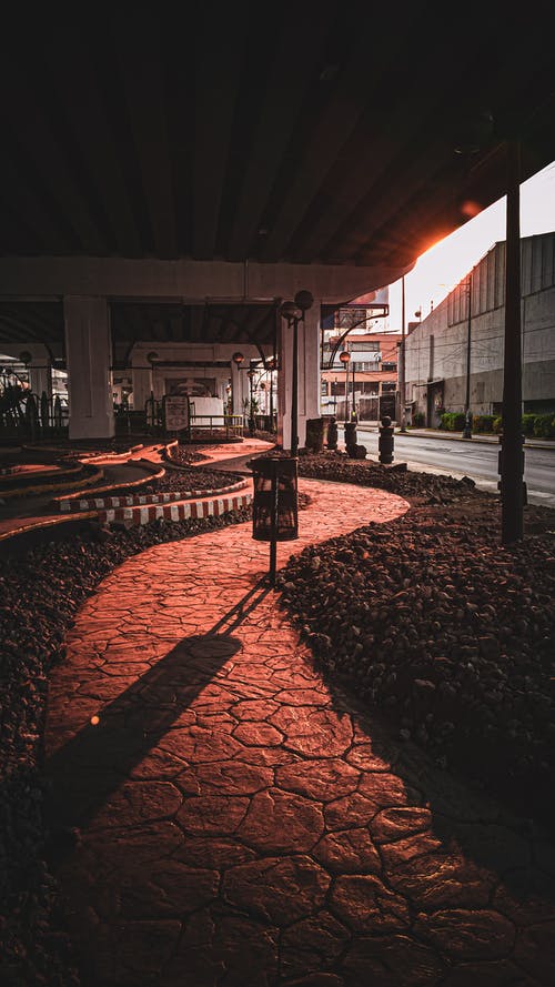 戰神歸來(lái)大佬颯爆了小說(shuō)葉輕舟李蒼龍在線(xiàn)閱讀