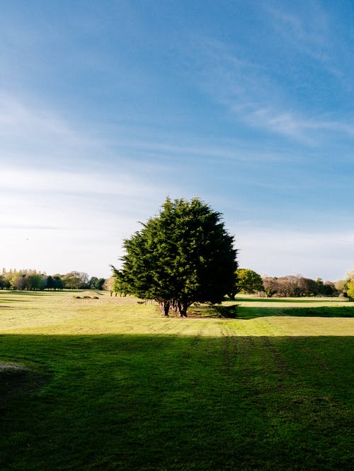五年級敘事作文令人感動(dòng)的一幕