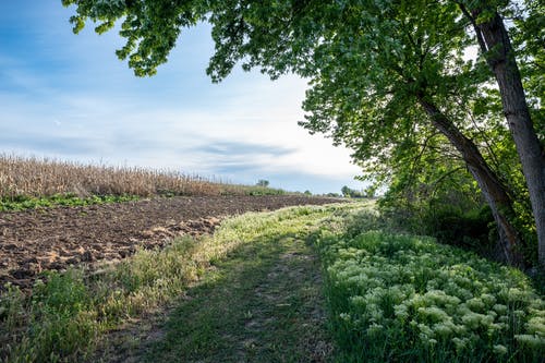 領(lǐng)導生日送花祝福語(yǔ)