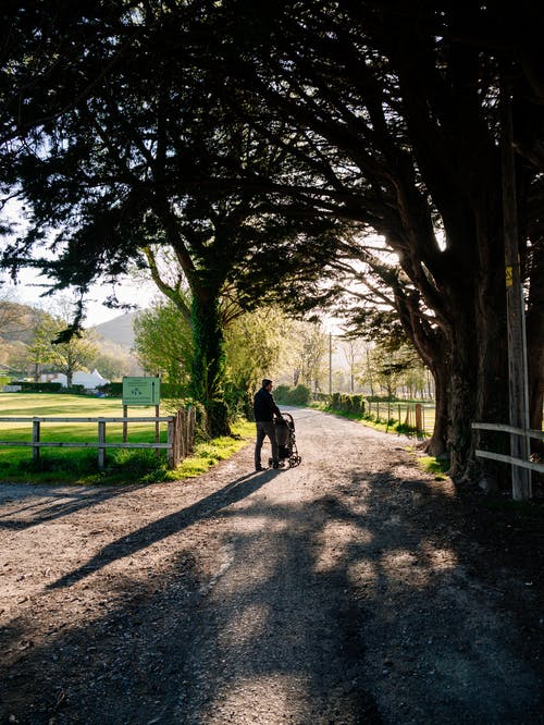 文言文翻譯十大失分點(diǎn)（四）語(yǔ)言不合規范