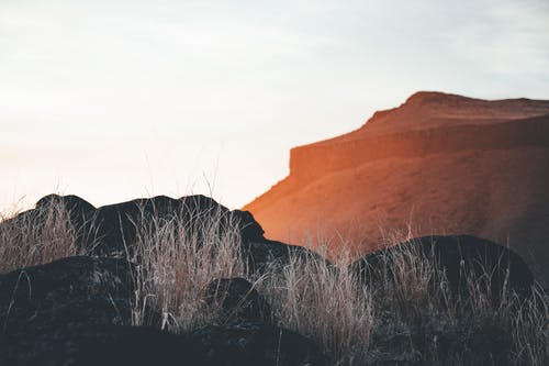 關(guān)于古詩(shī)作文錦集8篇