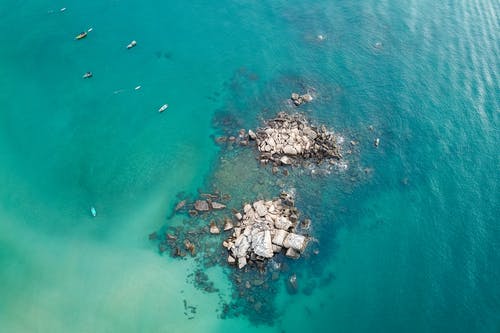 霸愛(ài)嬌妻放肆寵小說(shuō)夏夕綰陸寒霆丑女全書(shū)閱讀