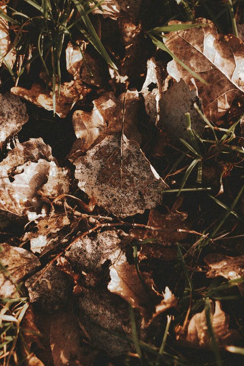 【實(shí)用】春游日記范文7篇 【實(shí)用】春游日記范文7篇