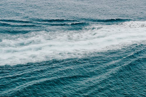 爽文我的白富美老婆小說(shuō)楚南沈月無(wú)廣告閱讀