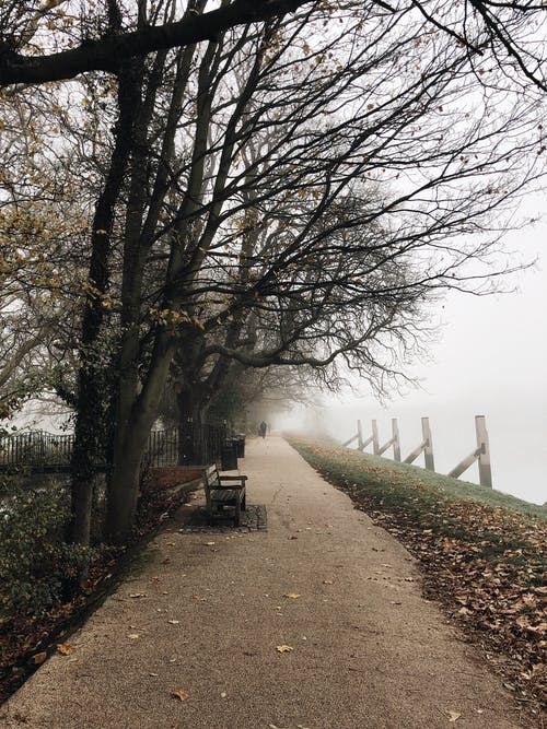 醫手遮天世子他娘帥炸了小說(shuō)墨晚蕭天錦全篇章閱讀