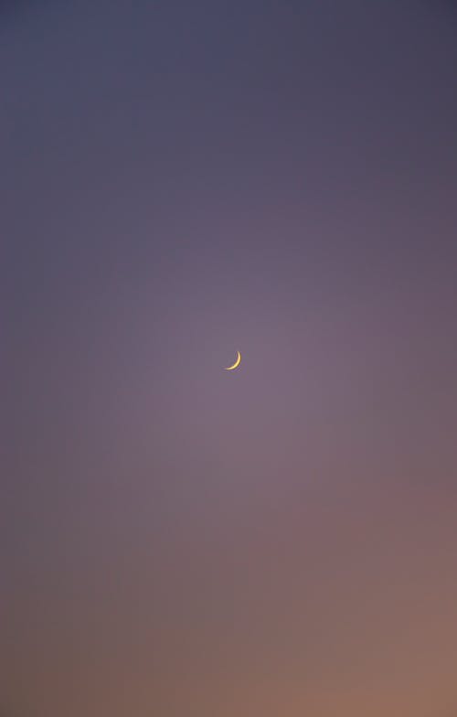 五年級寫(xiě)人作文小妹妹