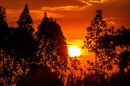 美麗的三八婦女節日記(精選9篇) 美麗的三八婦女節日記(精選9篇)