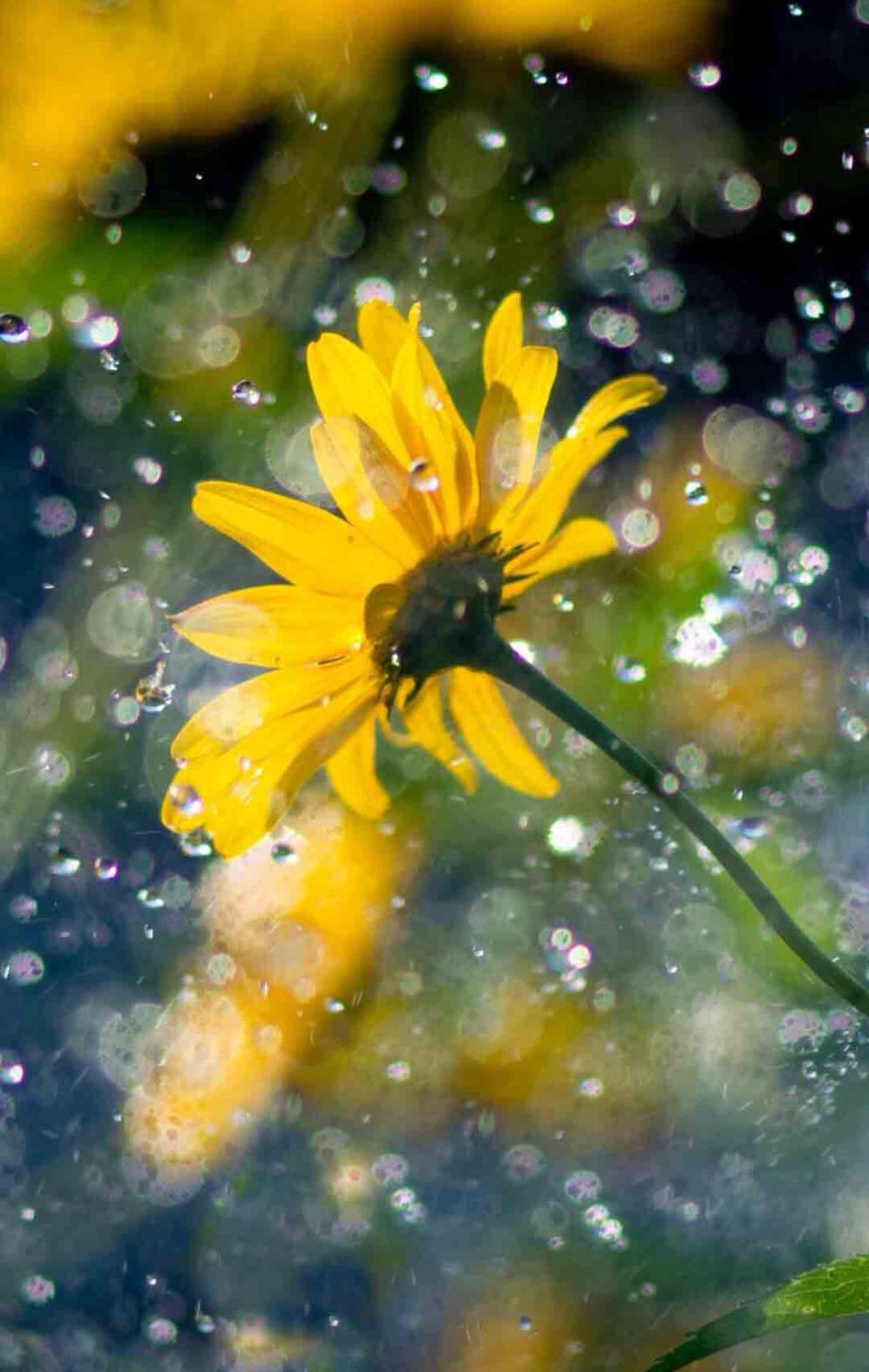 發(fā)朋友圈點(diǎn)贊超多的句子 不要因為生活曲折就成了配角 發(fā)朋友圈點(diǎn)贊超多的句子 不要因為生活曲折就成了配角