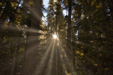 適合朋友圈最扎心的傷感說(shuō)說(shuō)：愿你是陽(yáng)光，明媚不憂(yōu)傷