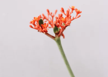 qq傷感說(shuō)說(shuō)寫(xiě)給心累的自己(15句) qq傷感說(shuō)說(shuō)寫(xiě)給心累的自己(15句)