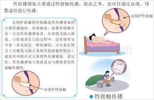 小學(xué)生性知識基礎教育