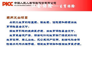 關(guān)于協(xié)管員的基礎知識及常識,社保協(xié)管員是什么工作,村委社保協(xié)管員待遇