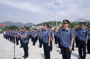 福建省交通綜合執法專(zhuān)業(yè)基礎知識