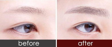 學(xué)紋眉毛基礎知識