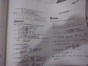 六年級下冊數學(xué)基礎知識,六年級上冊數學(xué)基礎知識,一到六年級數學(xué)基礎知識