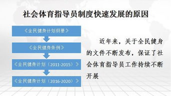 體育相關(guān)基礎知識