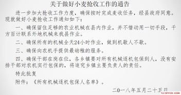 糾錯,基礎知識,公文