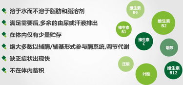 安利營(yíng)養素基礎知識