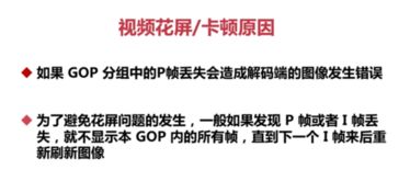 基礎知識專(zhuān)業(yè)