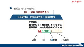 股票小白入門(mén)基礎知識,股票圖形入門(mén)基礎知識,股票期貨入門(mén)基礎知識