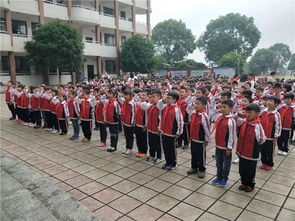 少先隊基礎知識測試題,少先隊基礎知識問(wèn)答,少先隊基礎知識100題