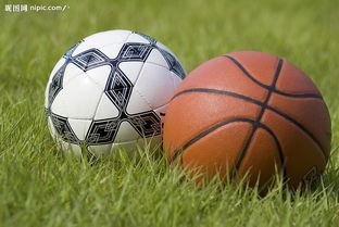 小學(xué)足球和籃球基礎知識