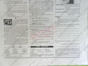 九級學(xué)英語(yǔ)基礎知識專(zhuān)練報紙