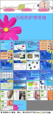 壓瘡的基礎知識ppt