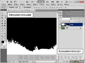 ps蒙版基礎知識