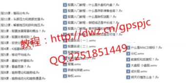 股票入門(mén)基礎知識教程優(yōu)酷