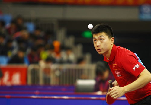 乒乓球賽事基礎知識