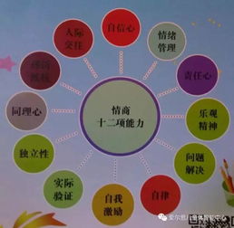 體智能基礎知識