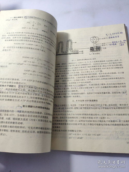 學(xué)好生物必須有化學(xué)基礎知識