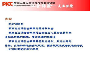 社保,基礎知識,協(xié)管員