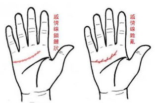 手相基礎知識課程