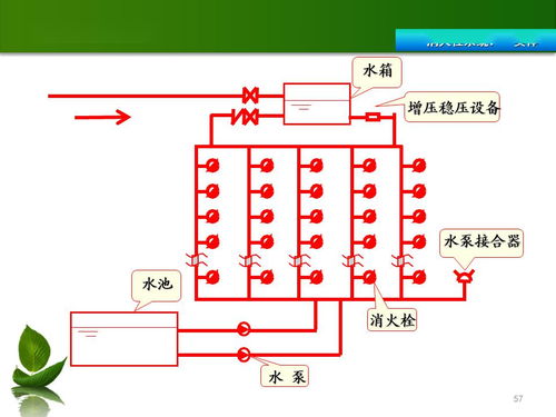 共青團基礎知識庫,小學(xué)基礎知識庫,基礎藥學(xué)知識庫