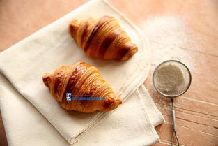 面包制作基礎知識