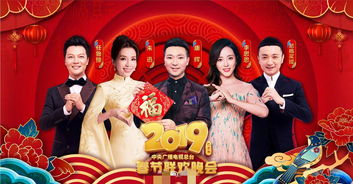 基礎知識,晚會(huì ),主持人,大學(xué)